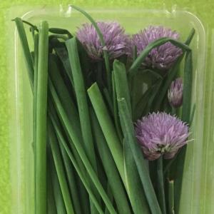 Chives. Plus d Chives. Plus d