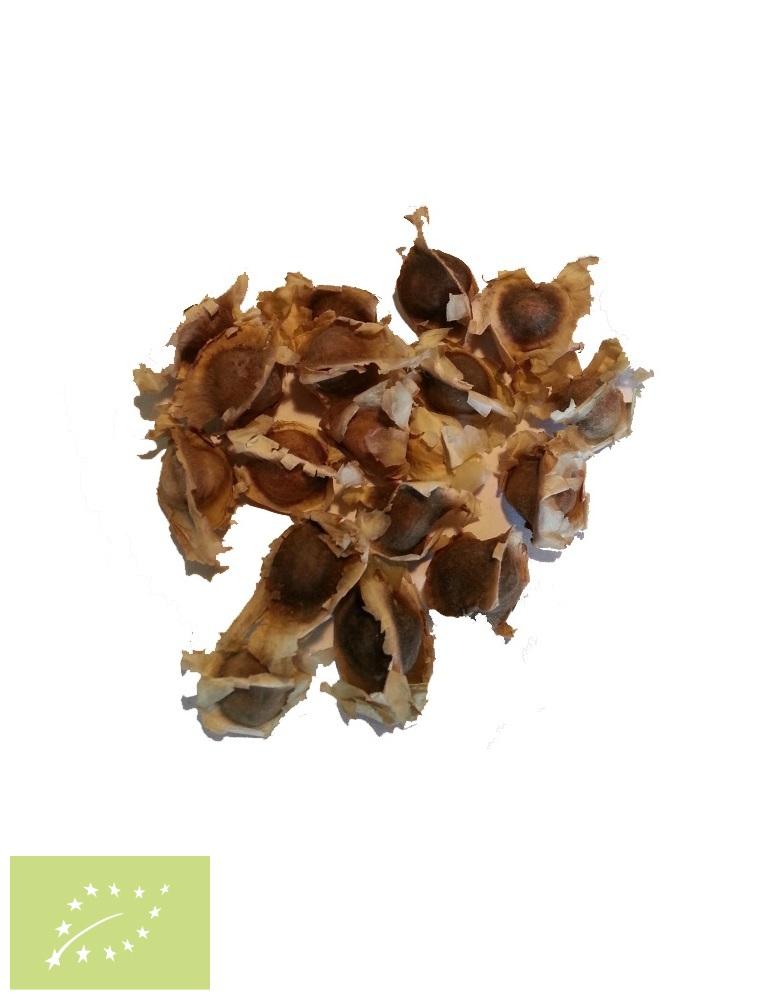 Dried Moringa seed sample