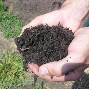 Organic Compost. Multiple product options available: 2