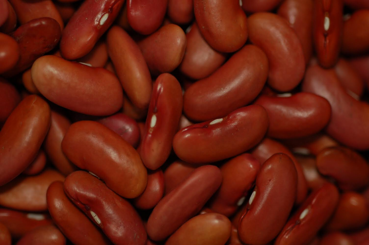 Beans - Red Kidney