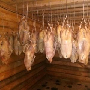 Вяленые гуси Вяленые гуси