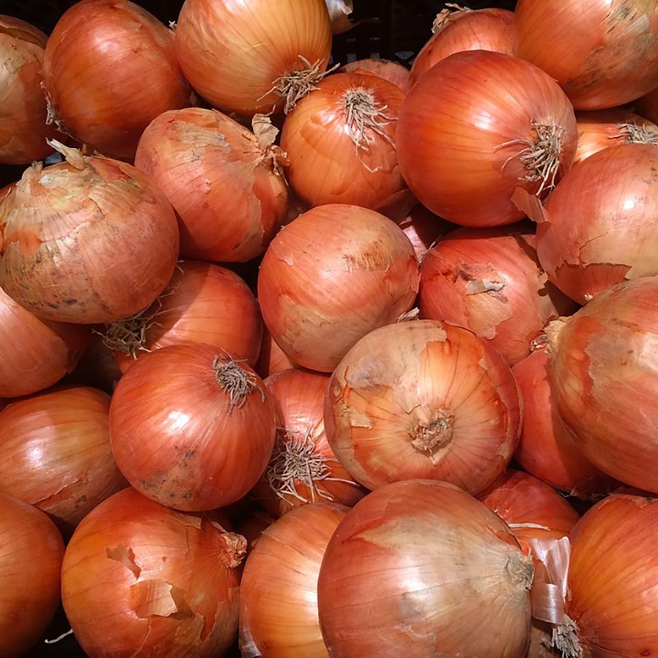 Sweet Spanish Onions 100 Natural Family