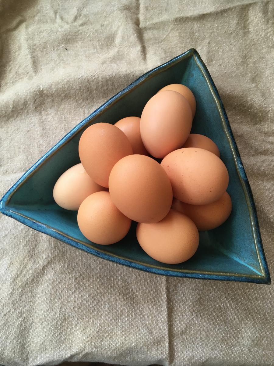 Soy and GMO Free Eggs Black Bottom Farm Collective LLC