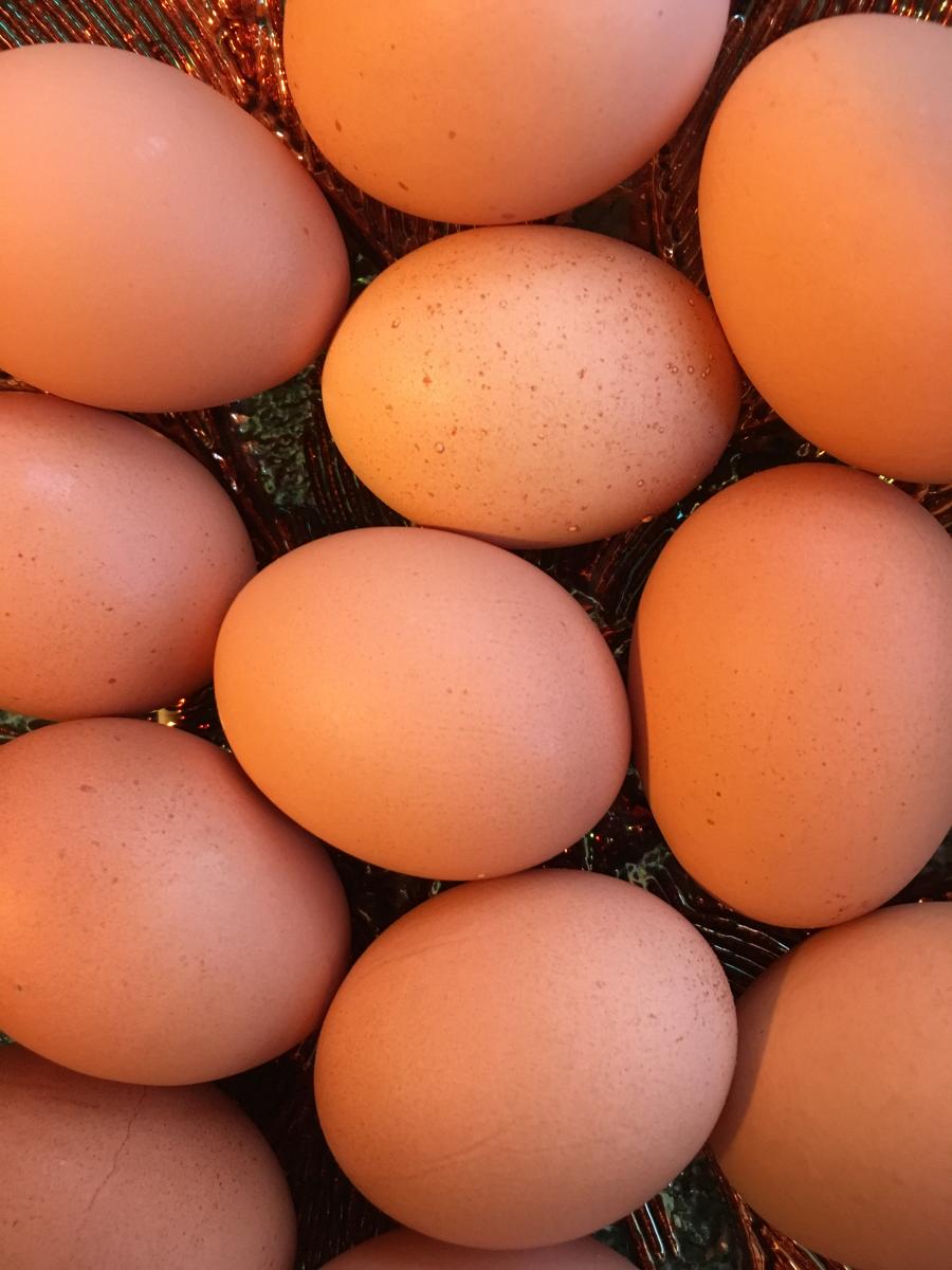 Aldi Pasture Raised Eggs Design Corral