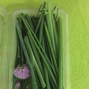 Herbs, Chives or Garlic Chives. Multiple product options available: 2