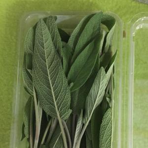 Herbs, Sage