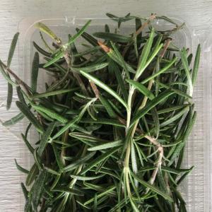 Herbs, Rosemary