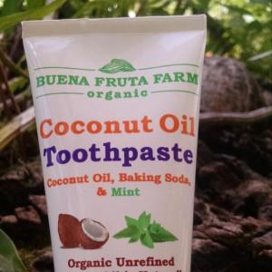 Organic Coconut Oil Toothpaste