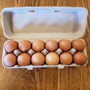 Chicken Eggs