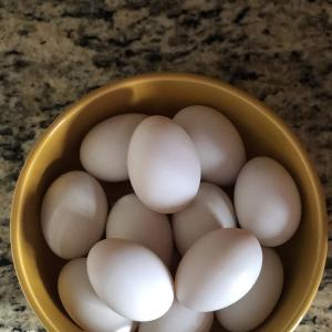 Duck Eggs