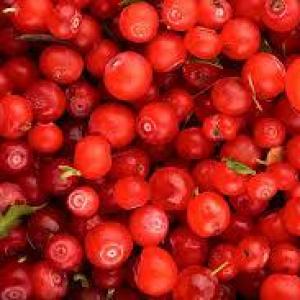 Frozen Coastal Red Huckleberries