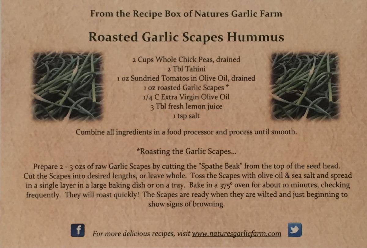 Garlic Scapes 