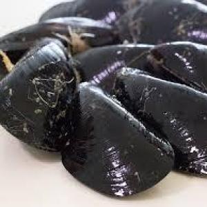 Mediterranean Mussels