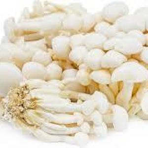 White Shimeji Mushroom, Cultivated, Organic