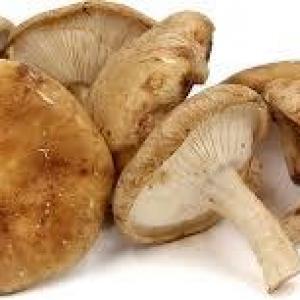 Shiitake Mushrooms, Cultivated, Organic