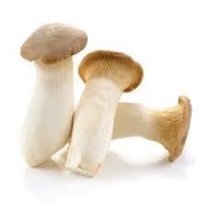 French Horn Mushrooms, Cutivated, Organic