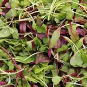 Portland Micro Super Greens