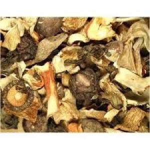Dried Forest Mix of Wild Mushrooms