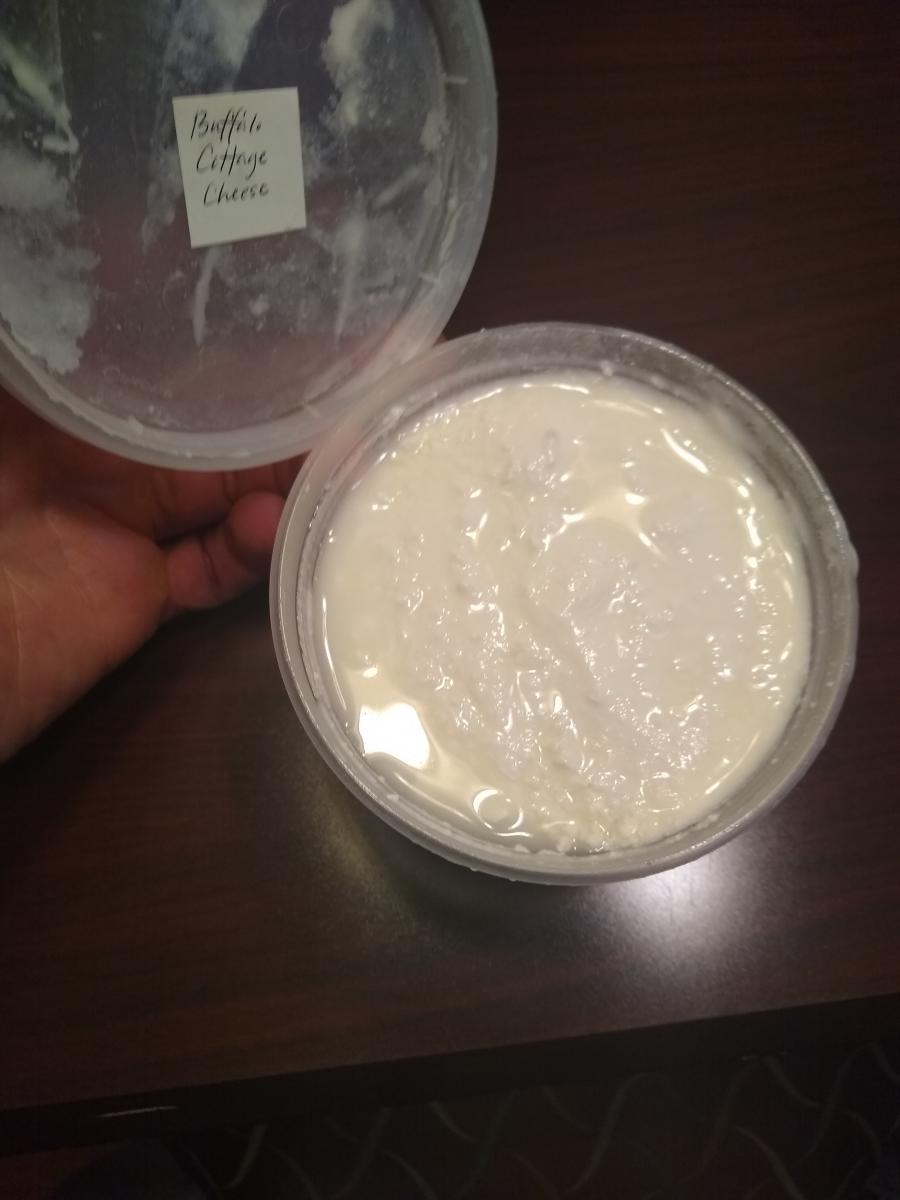 Buffalo Cottage Cheese Buffalo Valley Pastures