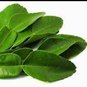 Kaffir Lime Leaves - Fresh ORGANIC (10 double) ~ Farm to you