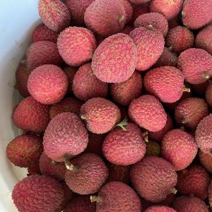 Lychee Fruit ~ Fresh Organic Fragrant and Delicious 2 lbs  