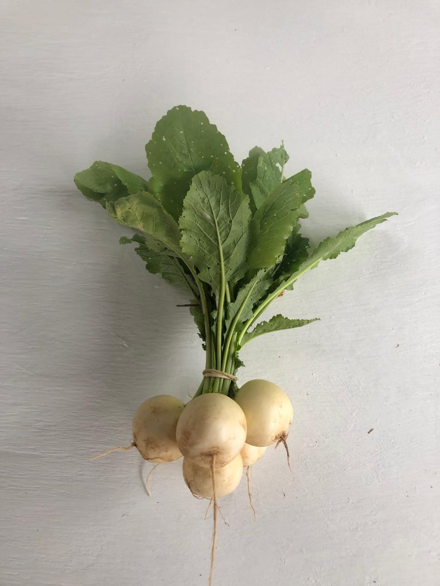 Produce- Turnips, Baby, Hakurie