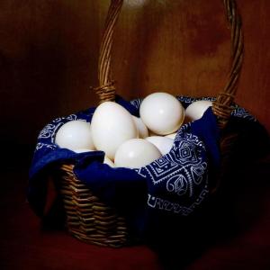 Pastured organic duck eggs 