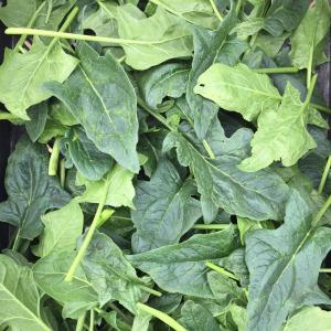 Produce- Spinach