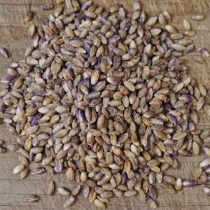 barley berries - hulless. Multiple product options available: 5