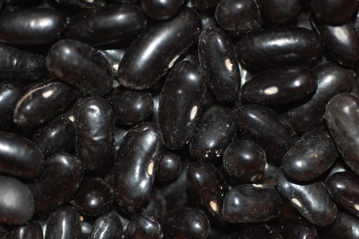 dry beans - black turtle