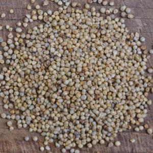 millet berries - pearl. Multiple product options available: 5