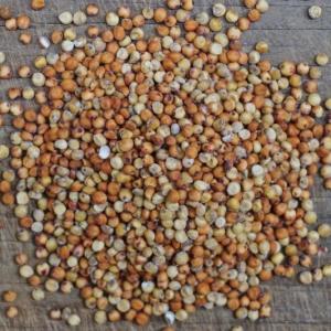sorghum berries. Multiple product options available: 5