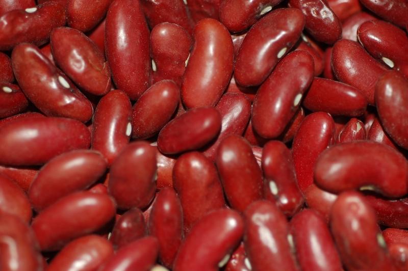 dry beans - red kidney