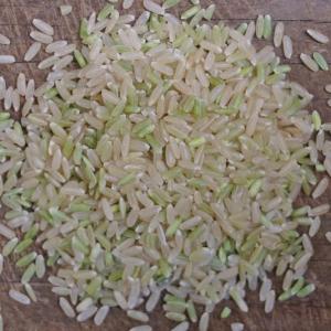 rice - long grain sahabagi