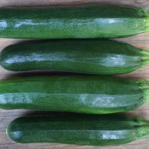 summer squash - green zucchini. Multiple product options available: 4
