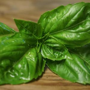 basil - genovese. Multiple product options available: 2