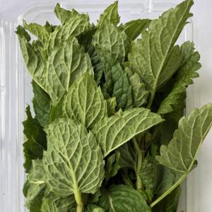 Herbs, Mint 