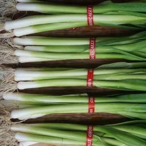 leeks - baby. Multiple product options available: 2