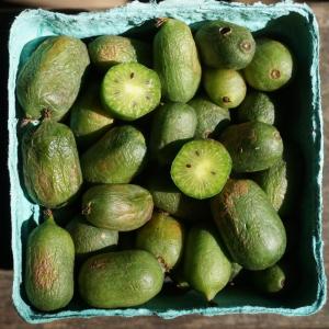 kiwi berries. Multiple product options available: 2