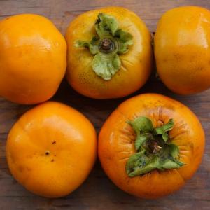 persimmon - non-astringent (can be eaten hard). Multiple product options available: 3