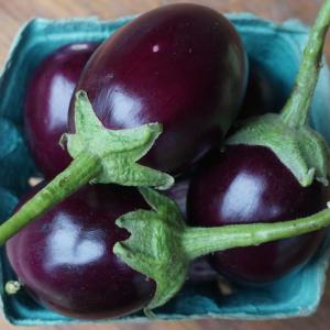 eggplant - small round. Multiple product options available: 2
