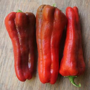 peppers - corno di toro sweet red. Multiple product options available: 2