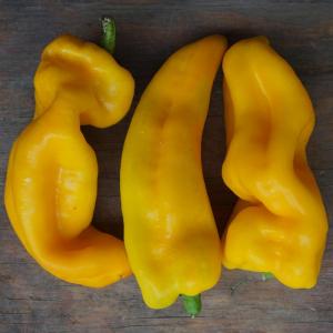 peppers - corno di toro sweet yellow. Multiple product options available: 2