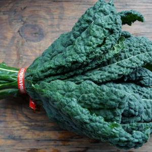 kale - dinosaur. Multiple product options available: 2