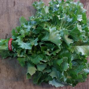 kale - siberian. Multiple product options available: 3
