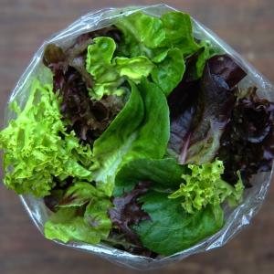 lettuce mix - new and improved!. Multiple product options available: 3