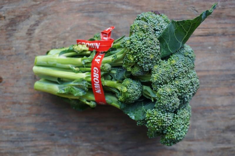 broccolini green NEXT STEP PRODUCE