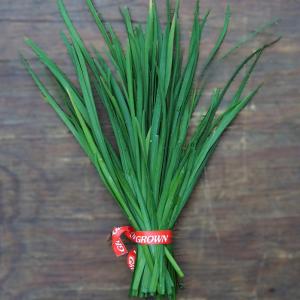 garlic chives