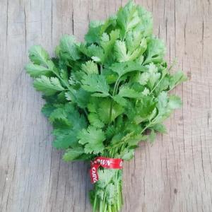 cilantro. Multiple product options available: 2
