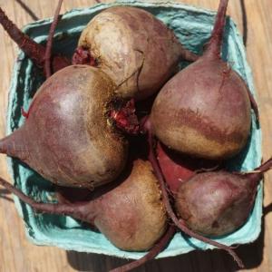 beets - red round. Multiple product options available: 2